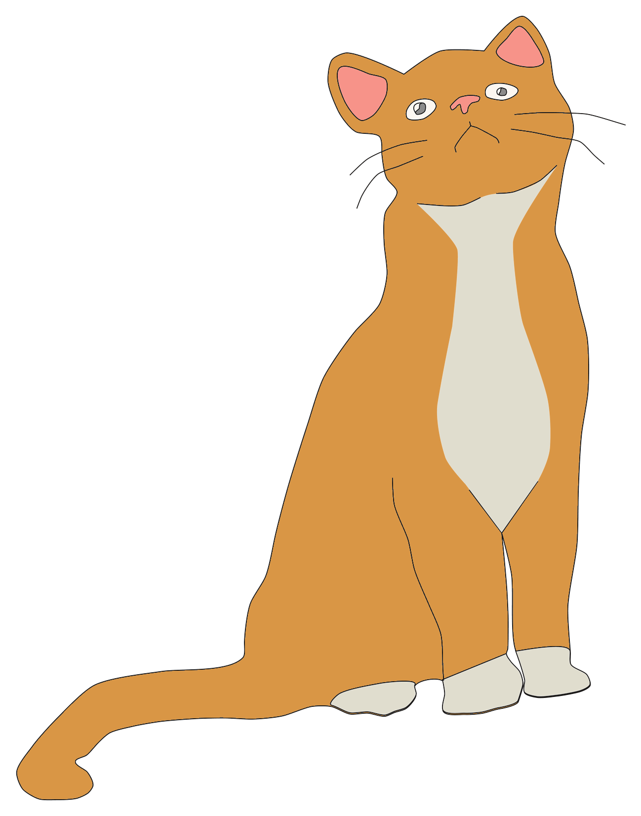 Freigestellte erste Farbversion der Toka-Katzenillustration in Orange, Creme und Rosé